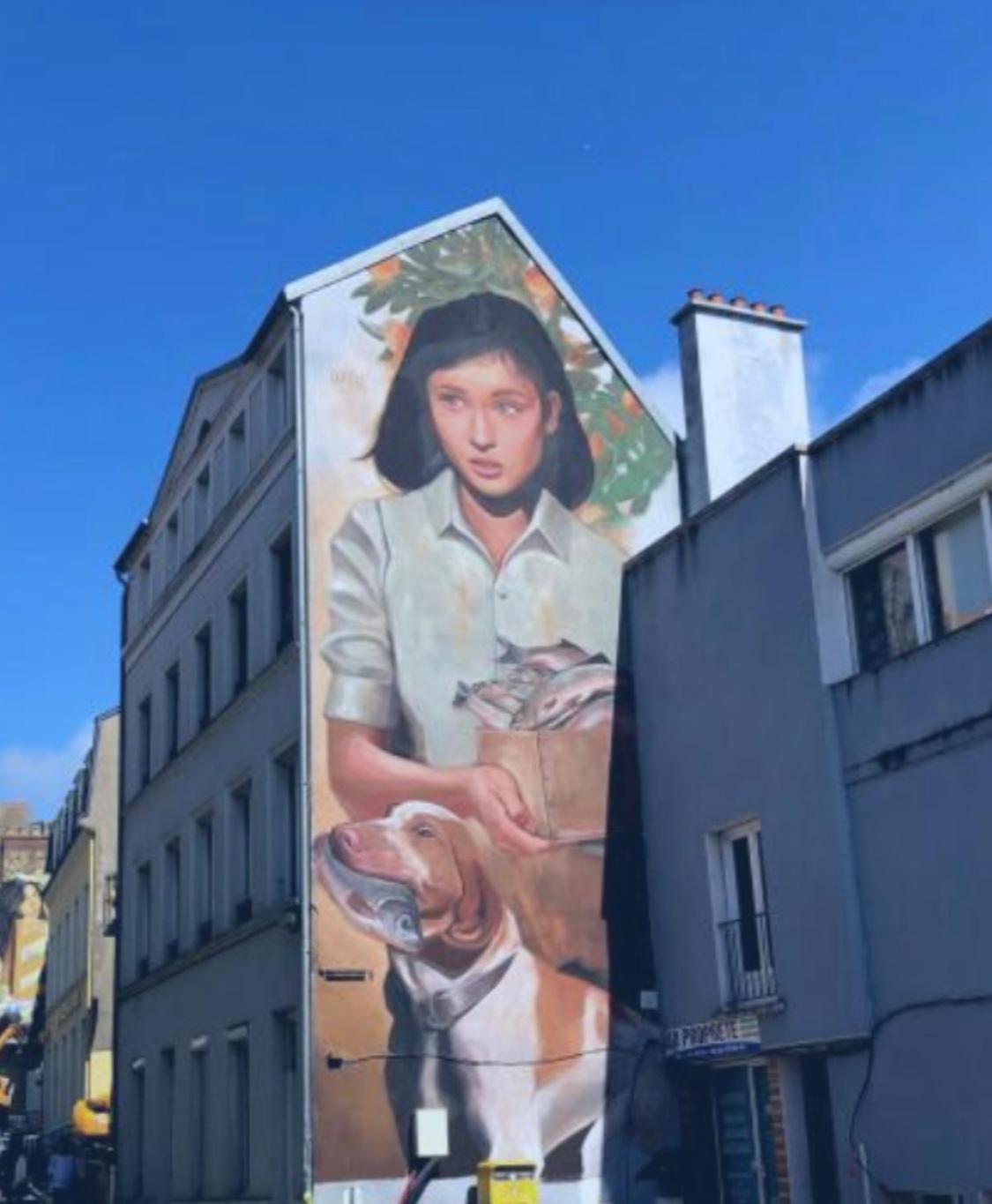 Jungle Appartement Lumineux Plein Centre Boulogne-sur-Mer Zewnętrze zdjęcie