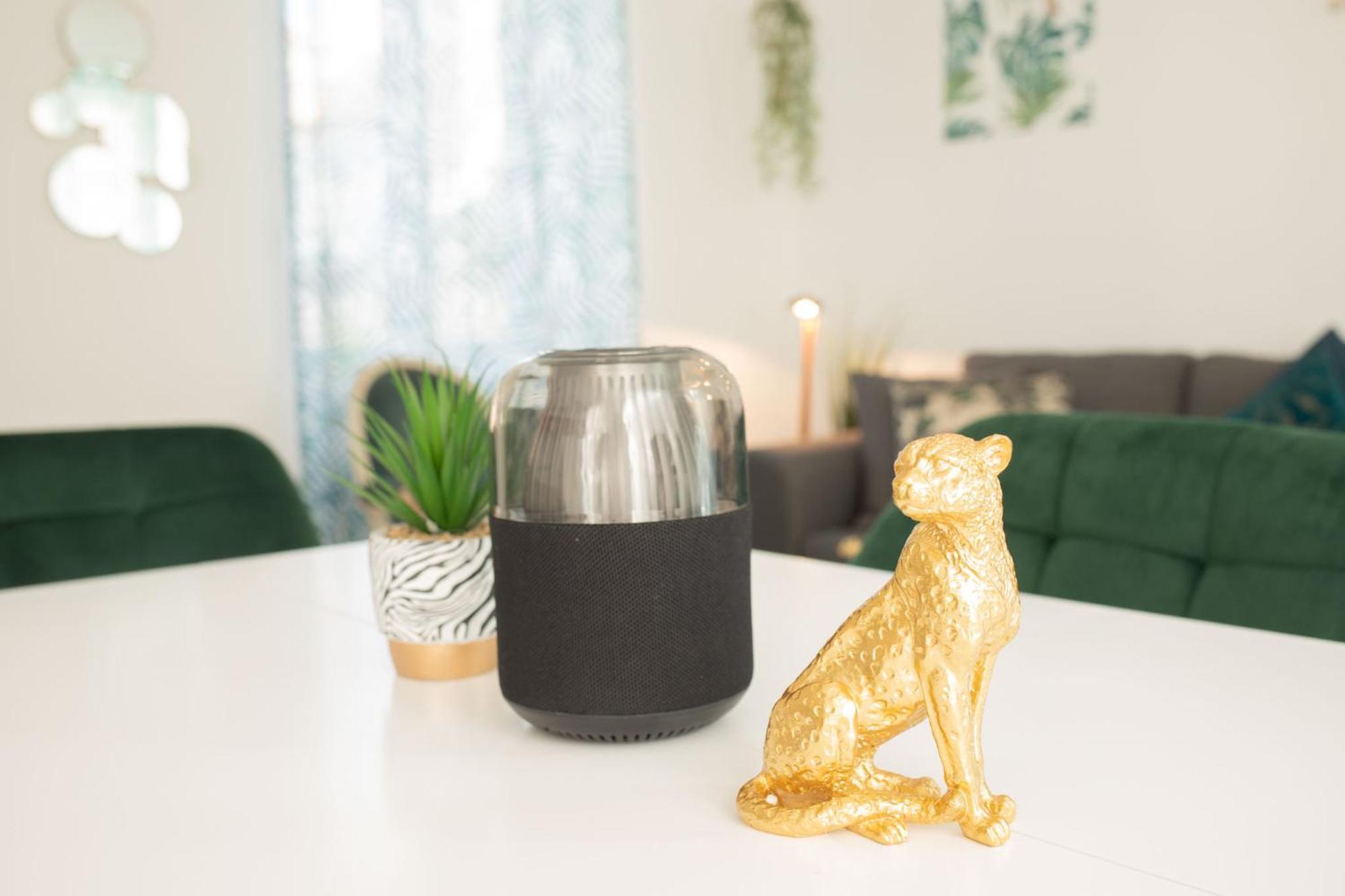 Jungle Appartement Lumineux Plein Centre Boulogne-sur-Mer Zewnętrze zdjęcie