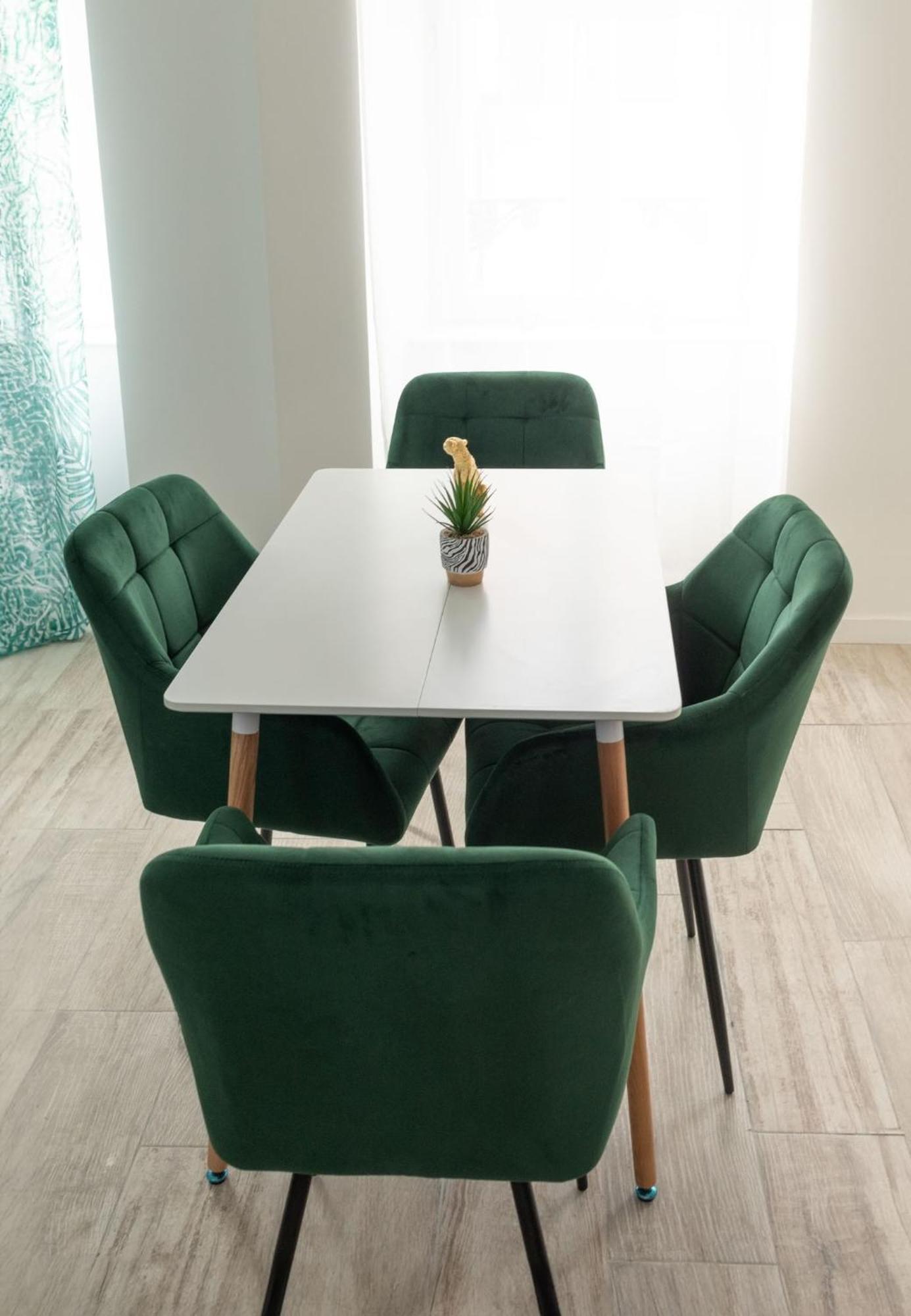 Jungle Appartement Lumineux Plein Centre Boulogne-sur-Mer Zewnętrze zdjęcie
