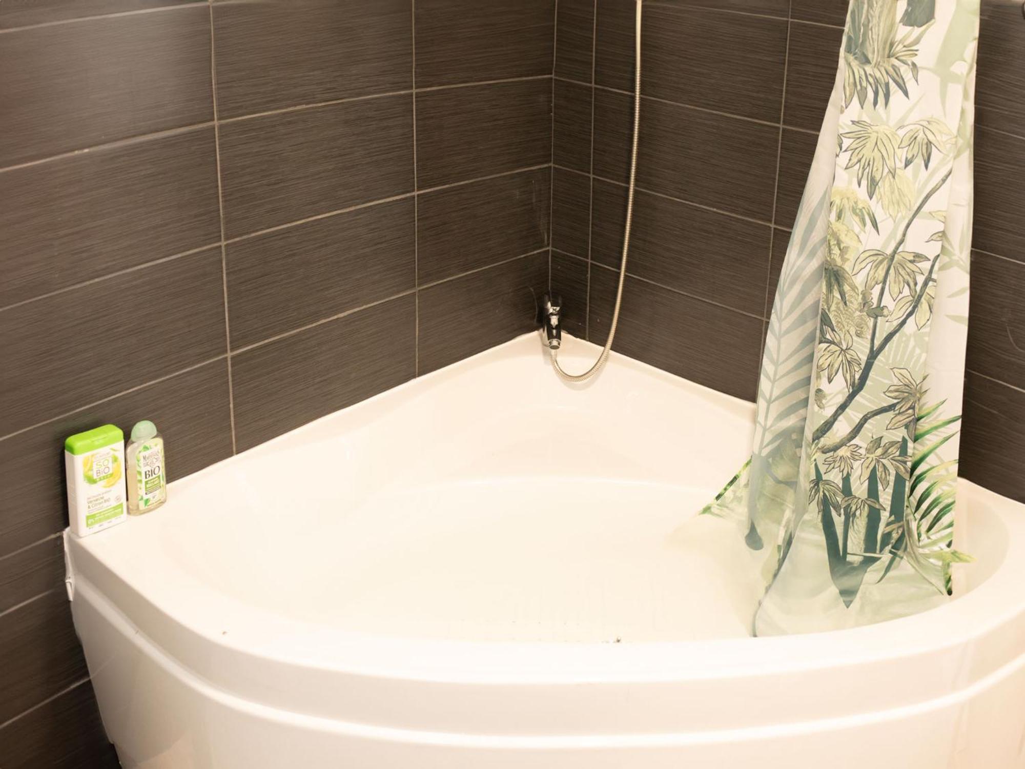Jungle Appartement Lumineux Plein Centre Boulogne-sur-Mer Zewnętrze zdjęcie