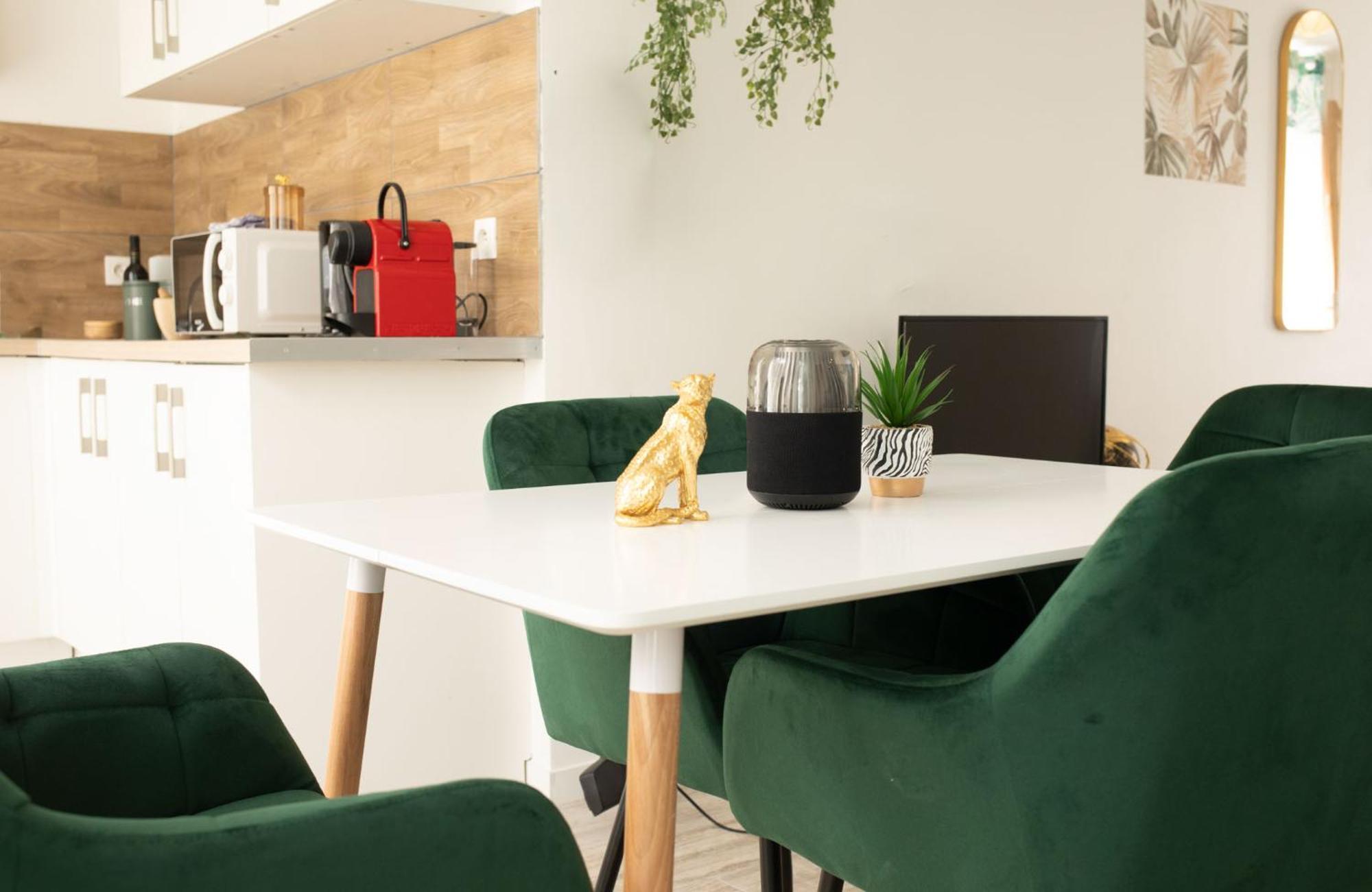Jungle Appartement Lumineux Plein Centre Boulogne-sur-Mer Zewnętrze zdjęcie